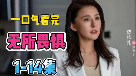电视剧《无所畏惧》全集在线观看完整解说