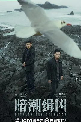 暗潮缉凶 (2025)